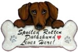 doxie_-_spoiled_rotten_std